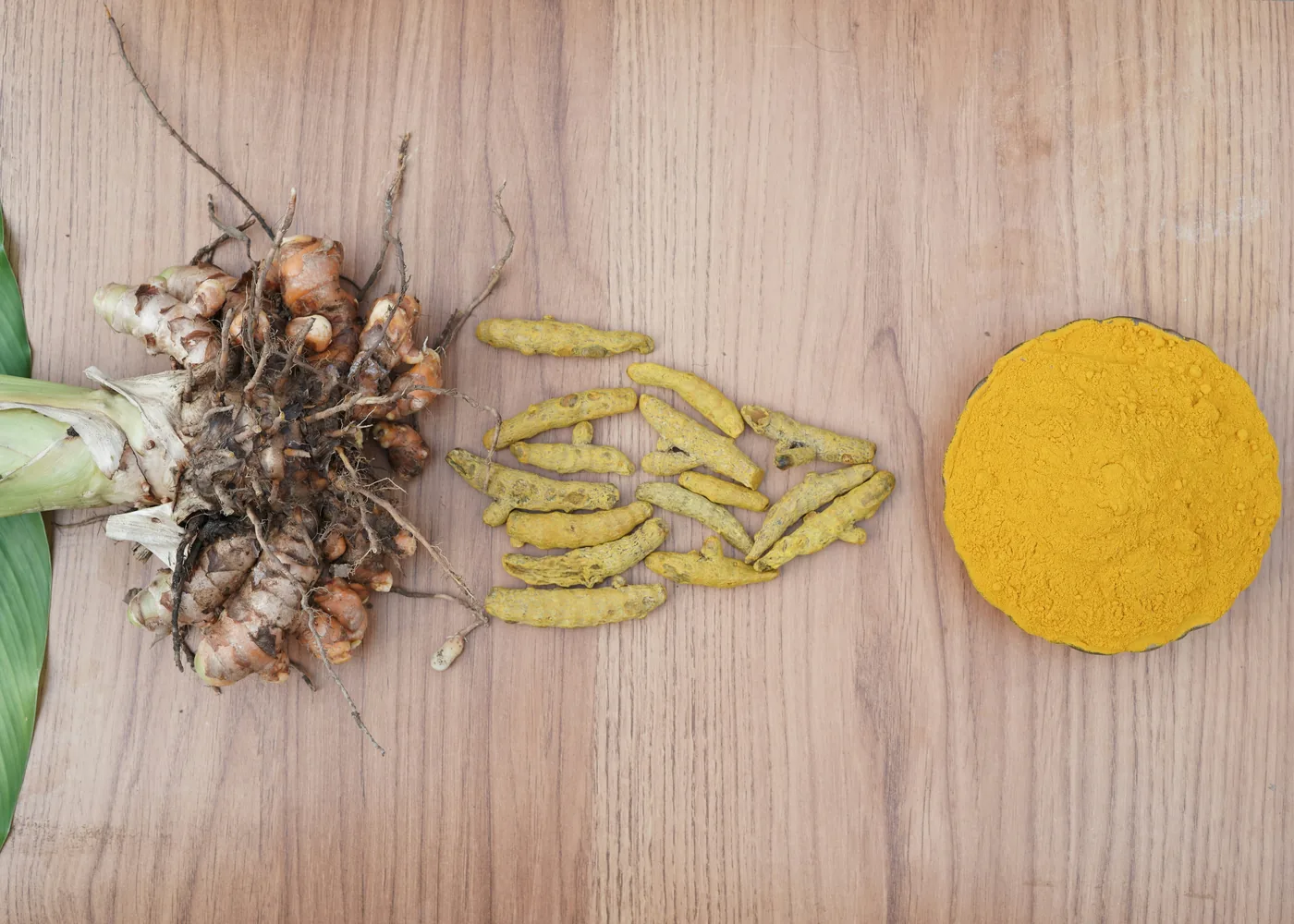 Turmeric roots, dried turmeric slices, and powder